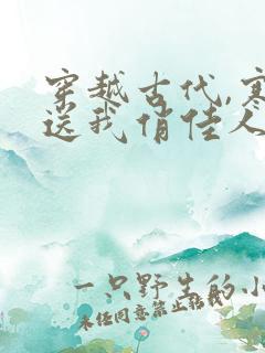 穿越古代,寒风送我俏佳人免费