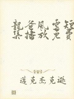 龙爸风云短剧全集播放免费观看