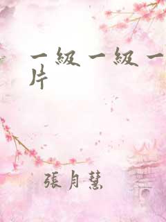一级一级一a一片
