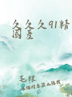 久久久91精品国产