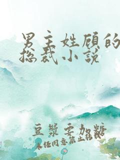 男主姓顾的现代总裁小说