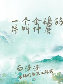 一个企鹅的动画片叫什么