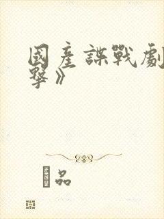 国产谍战剧《反击》