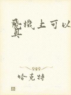 飞机上可以带玩具