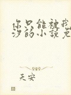 你只能被我溪夕汐的小说免费阅读