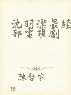 沈羽洁最经典十部电视剧