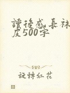 读后感长袜子皮皮500字