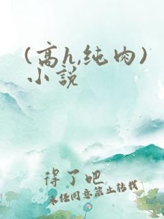 (高h,纯肉)小说