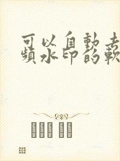 可以自动去掉视频水印的软件