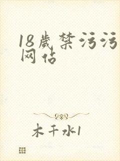 18岁禁污污污网站