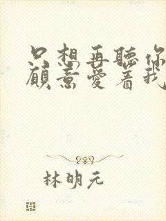 只想再听你说你愿意爱着我是什么歌