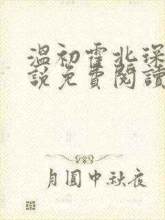 温初霍北琛的小说免费阅读无弹窗