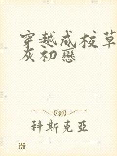 穿越成校草的炮灰初恋