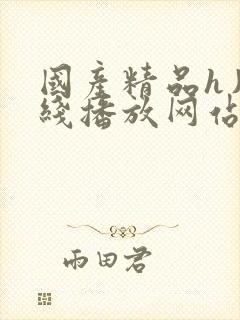 国产精品h片在线播放网站