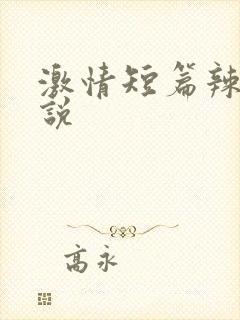 激情短篇辣文小说