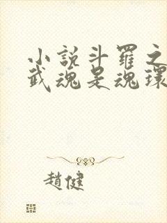 小说斗罗之我的武魂是魂环