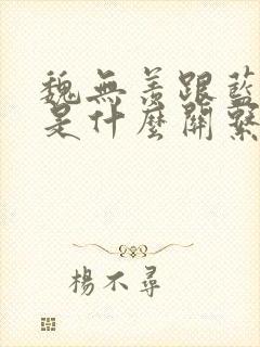 魏无羡跟蓝忘机是什么关系