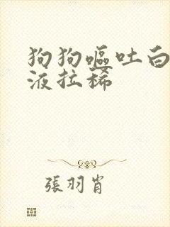 狗狗呕吐白色粘液拉稀