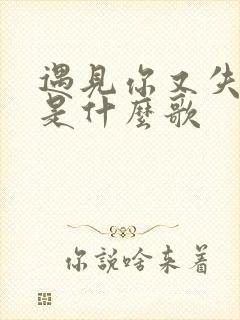 遇见你又失去你是什么歌