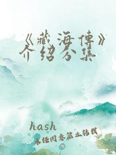 《藏海传》剧情介绍分集