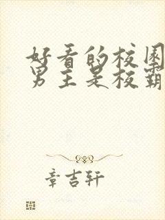 好看的校园小说男主是校霸