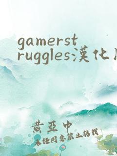 gamerstruggles汉化版下载
