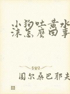 小狗吐黄水带泡沫怎么回事