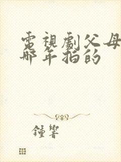 电视剧父母爱情哪年拍的