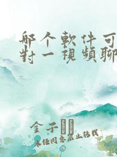 哪个软件可以一对一视频聊天