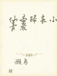 仙帝归来小说云青岩