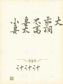 小妻不乖大佬宠妻太高调