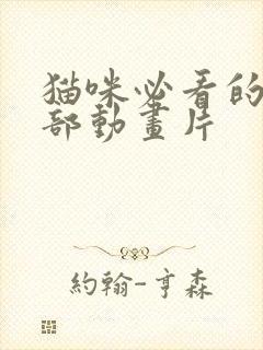 猫咪必看的10部动画片