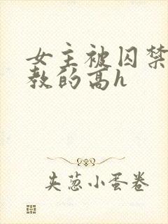 女主被囚禁后调教的高h