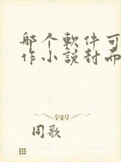 哪个软件可以制作小说封面