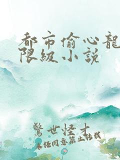 都市偷心龙爪手限级小说