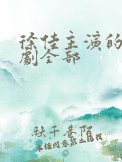 徐佳主演的电视剧全部