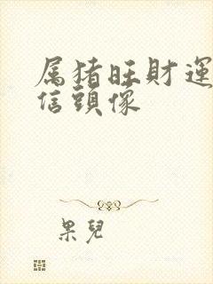 属猪旺财运的微信头像