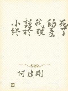 小说我的死对头终于破产了