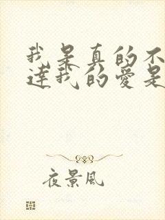 我是真的不会表达我的爱是什么歌