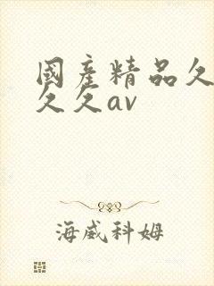 国产精品久久久久久av