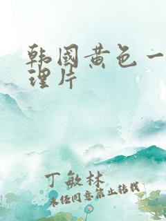 韩国黄色一级伦理片