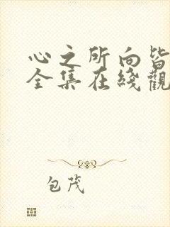 心之所向皆美好全集在线观看