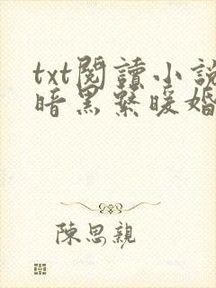 txt阅读小说暗黑系暖婚