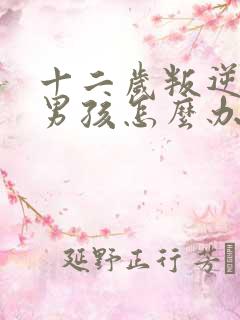 十二岁叛逆期的男孩怎么办