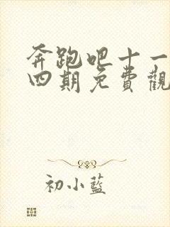 奔跑吧十一季第四期免费观看