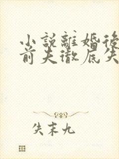 小说离婚后豪门前夫彻底失了控完结版