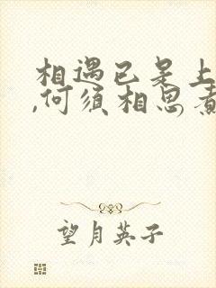 相遇已是上上签,何须相思煮余年的下一句