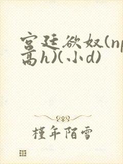 宫廷欲奴(np高h)(小d)