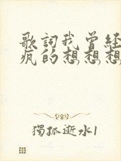 歌词我曾经发了疯的想想想是什么歌