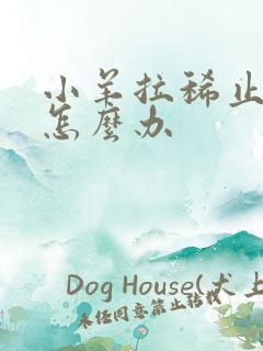 小羊拉稀止不住怎么办